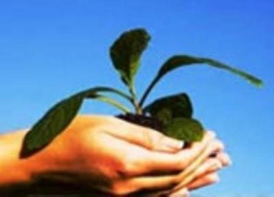 علوم زیست محیطی چیست؟ علوم زیست محیطی چیست؟